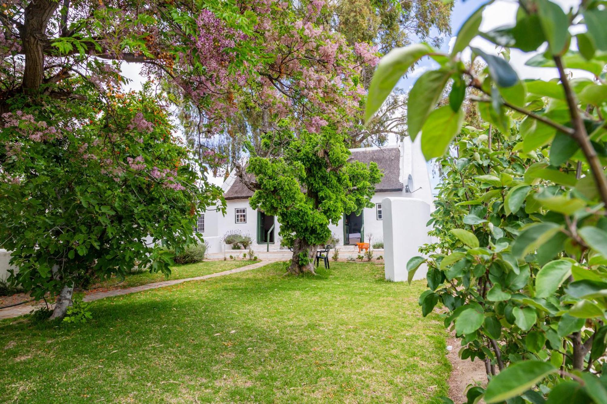 Karoo 1 Hotel Village De Doorns Exterior foto